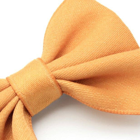 Card of 2 Satin Fabric Bow Clips 4.5cm