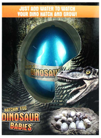 EGG GROWING DINO 4 COLS 6 ASSORTED