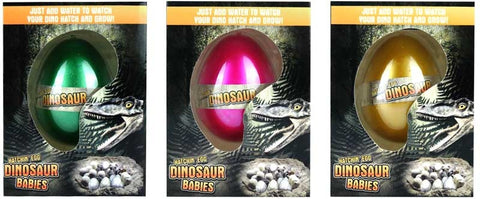 EGG GROWING DINO 4 COLS 6 ASSORTED